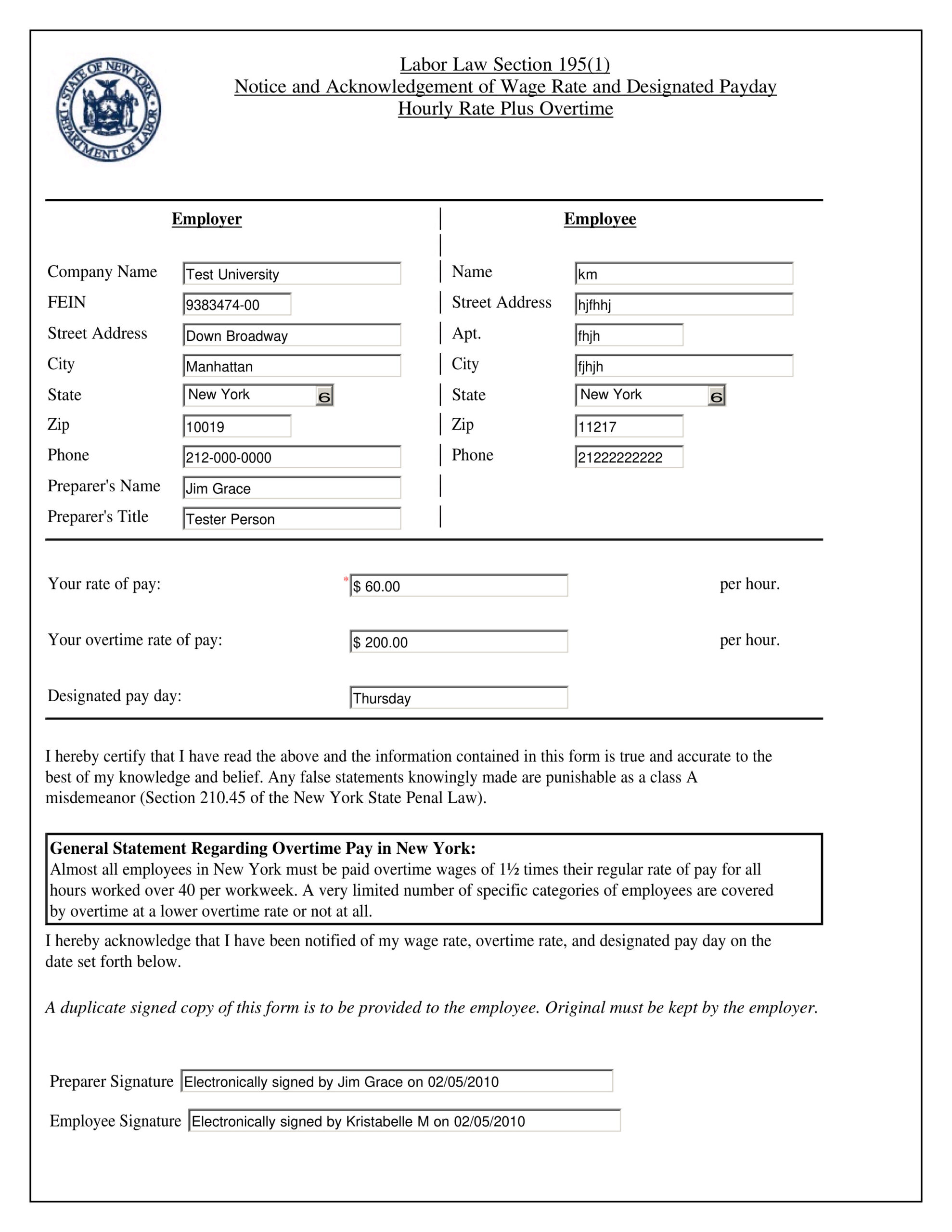 Screenshot of Employment Form example PDF